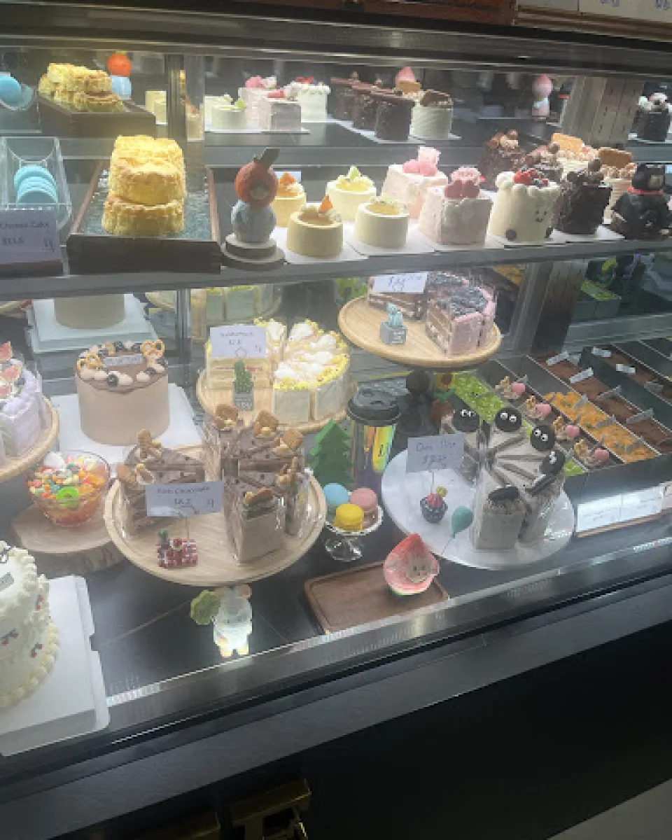 Nini N